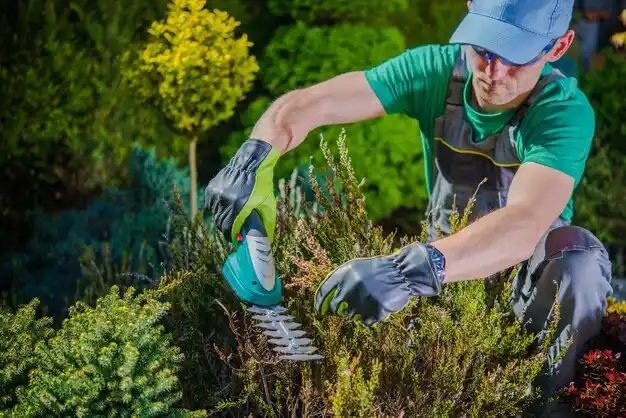 landscaping services Madisonville